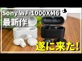 [レビュー Sony WF-1000XM6 待望の最強完全ワイヤレスイヤホン]最高峰の音質、ノイズキャンセリング性能!自信をもっておすすめできる!! [ねこしぃの周辺機器]