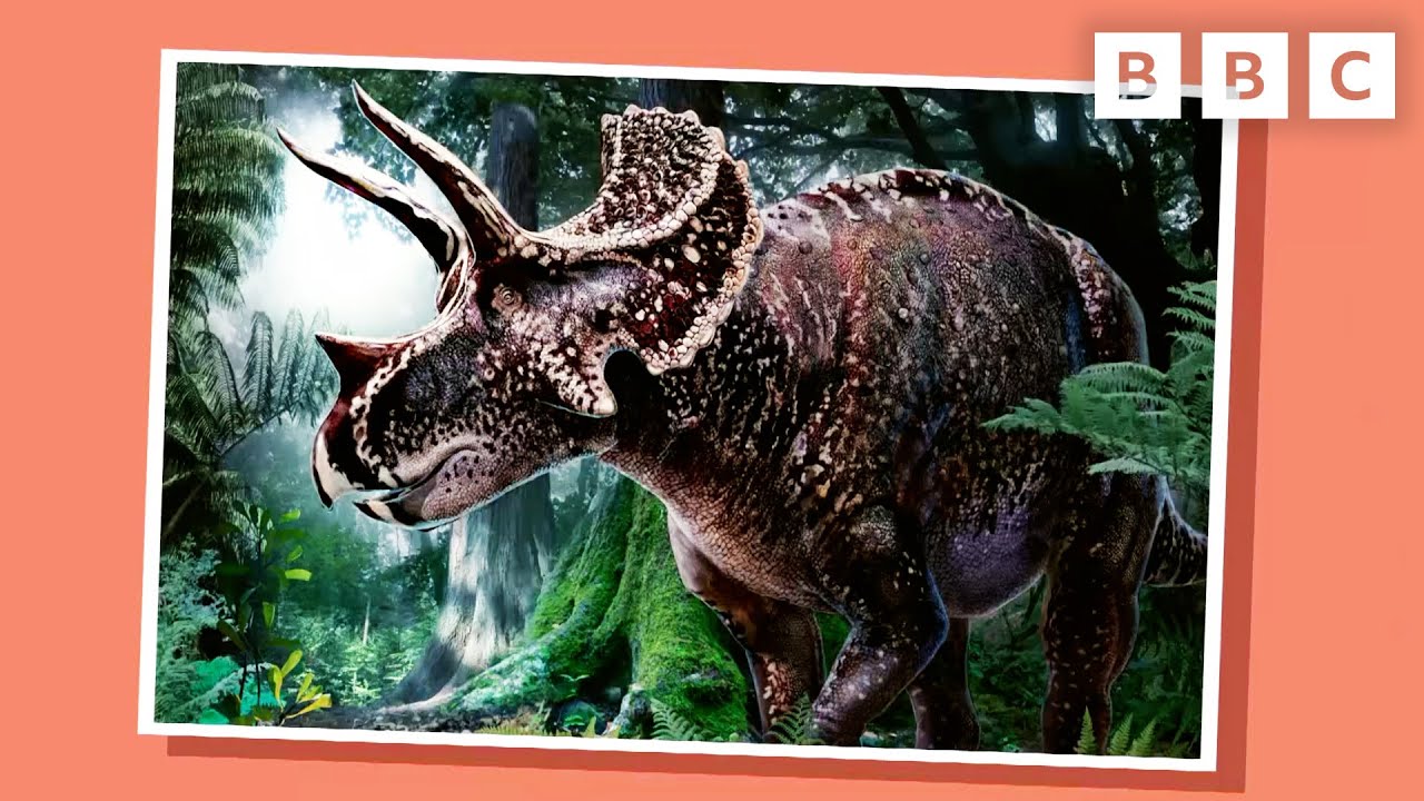 What's a Palaeontologist? What's in Your Bag? on CBeebies YouTube