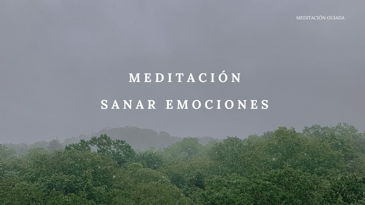 Meditación guiada para soltar y sanar emociones 15 minutos - YouTube