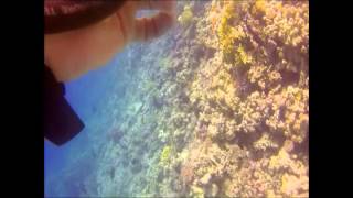 2015 Sharm Try Dives mpeg2video