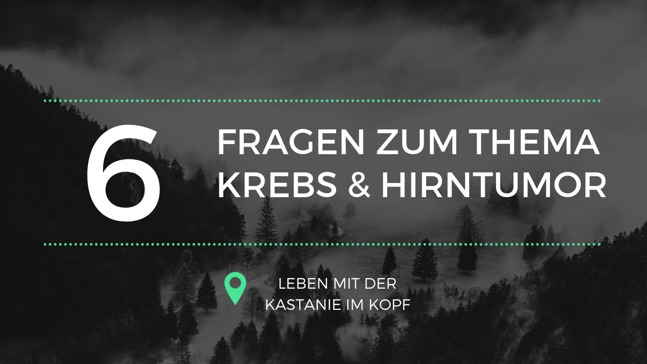 Eure Fragen Zum Thema Krebs Umgang Pl ne Arbeit Und Angeh rige Eure fragen zum thema krebs umgang pl ne arbeit und angeh rige