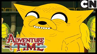 Dignified | Adventure Time | Cartoon Network