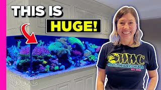 Turning Common Corals Into a 600 Gallon Masterpiece!!