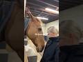 Her Horse Gave Her a Heartfelt Hug ❤️