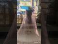 “Bollywood Inspired Bridal Look ✨ Red Net Dress Transformation 😍 #bollywood #shorts #fans