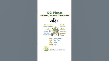 khadir_DG medicinal plant#aiapget #ayurveda #bams #ayurvedacoaching #shotsvideo #shorts#plants#dg