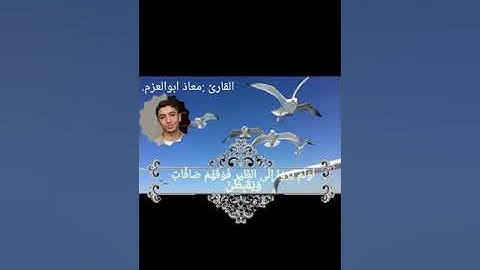 ما تيسر من سورة الملك بصوت القارئ معاذ ابو العزم⁦❤️⁩⁦❤️⁩⁦❤️⁩⁦❤️⁩