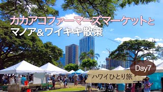 【TheBusで巡るハワイ】11泊13日ひとり旅 Day7 │ 朝からラナイに居座る訪問者とは │ アイランドヴィンテージワインバーで3時のオヤツ│ ピンクパレスをお散歩 │ Hawaii Vlog