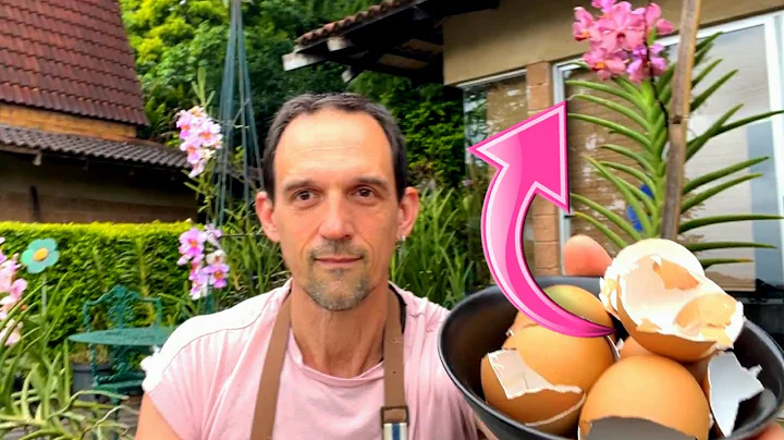 How to use Eggshells properly for Orchid calcium deficiency.