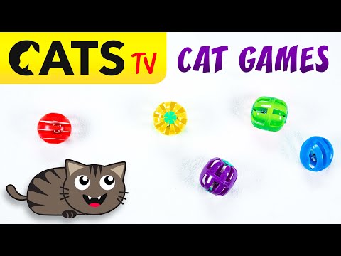 CAT TV GAMES