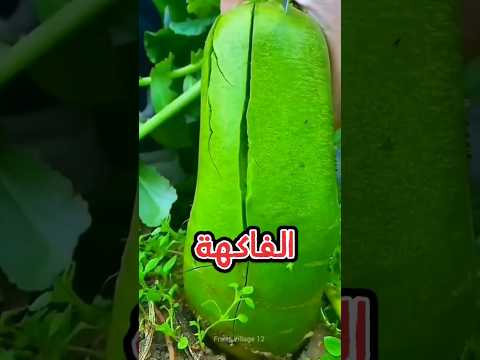 ما هي الفاكهة الذي حرمها الله عن جميع المسلمين