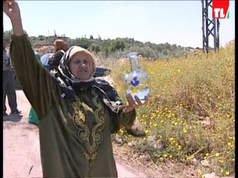 ذكرى التحرير