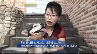 TV 동물농장 110918 _04