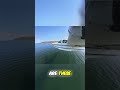 Deciding to Go Around: Understanding Landing Challenges