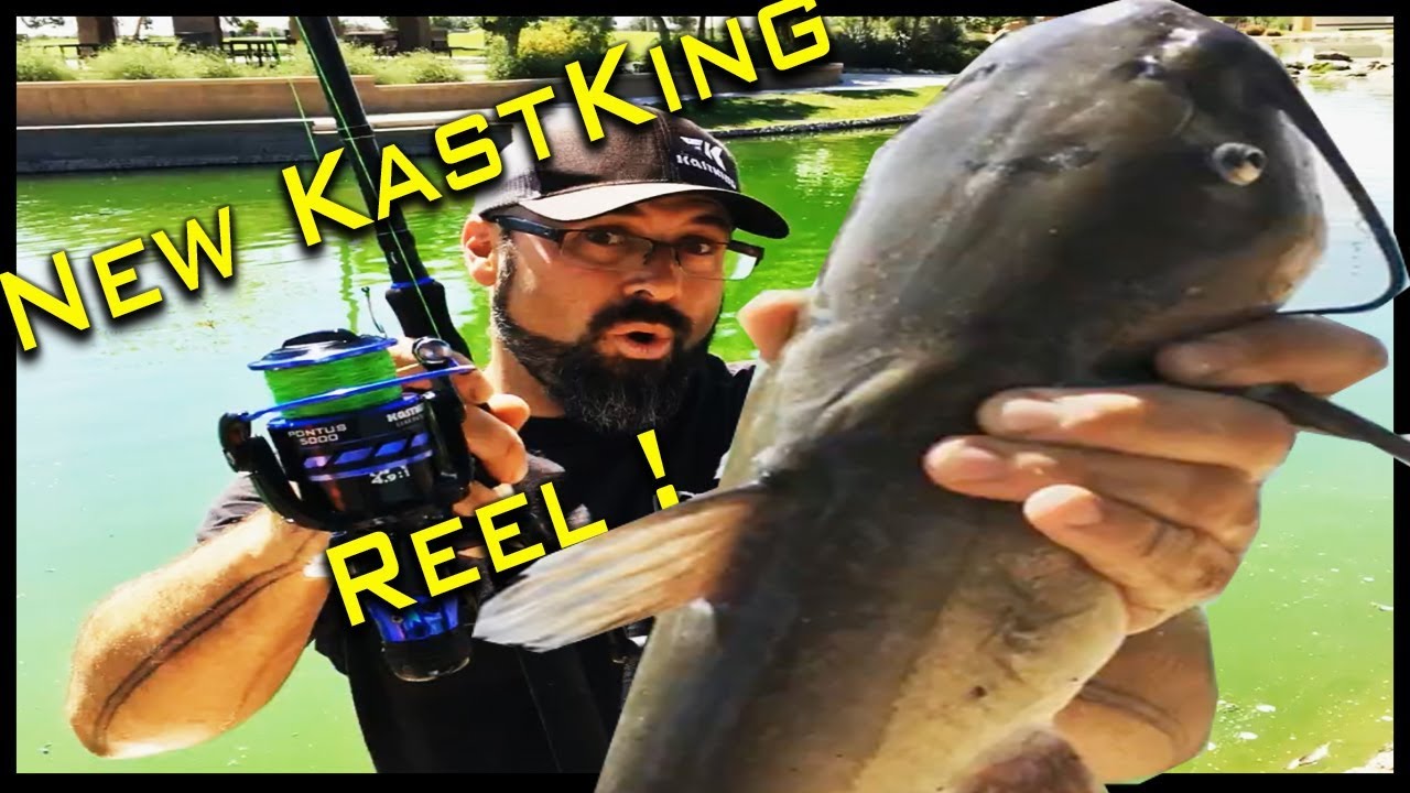 KastKing Pontus Baitfeeder Spinning ReelBaitrunner Spinning Fishing