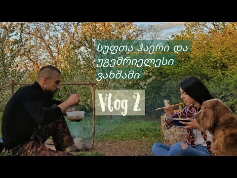 ვამზადებთ უგემრიელეს სოუზს, სპაგეტით და ხორცით, ვლოგი მუკბანგის ელემენტებით (spaghetti with meat)