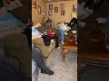 I think my family likes her better..🤣 #couplecomedy #marriedlife #prankwars #relatable #bestfriend