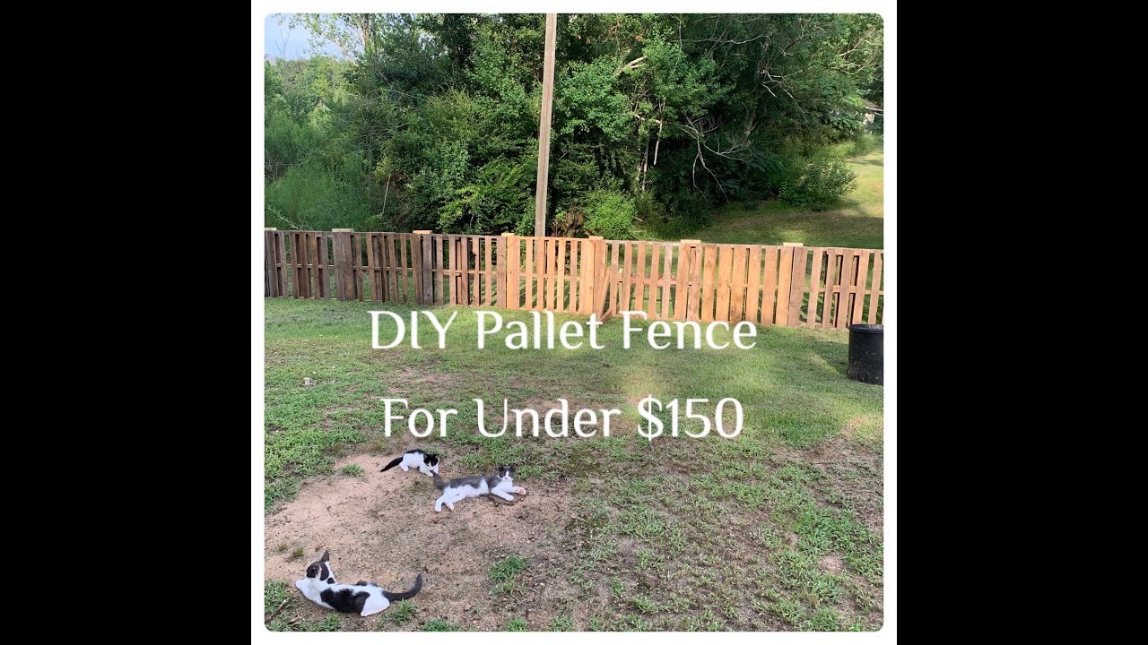 DIY Goat Fence made of pallets - YouTube