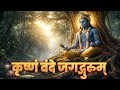 कृष्णं वंदे जगद्गुरुम् | Krishna Ashtakam | #Divine #Krishna #Trance - Divine Drill