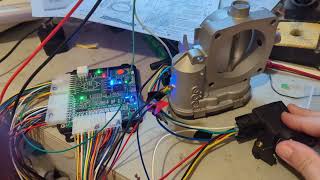 rusefi uaefi Electronic throttle body DBW