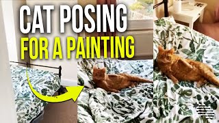 Owner Goes Into Room to Find Cat Laying On Bed as if It Is Posing for a Painting