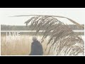 La vue  white lake  livestream by soundavenuetv 11112020