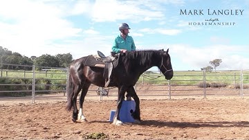 How to help your horse stand at the Mounting Block