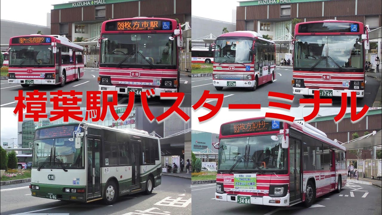 バスの行列を眺める＠樟葉駅バスターミナル