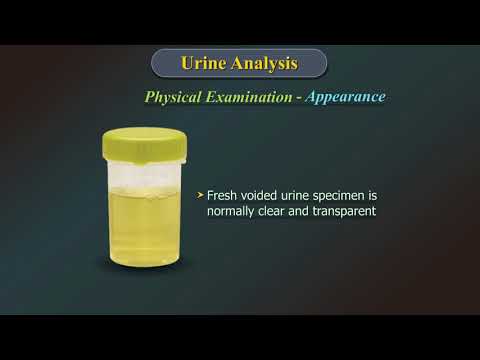 Video: Is It Possible To Pass A Urine Test During Menstruation, Preparation And Collection Rules