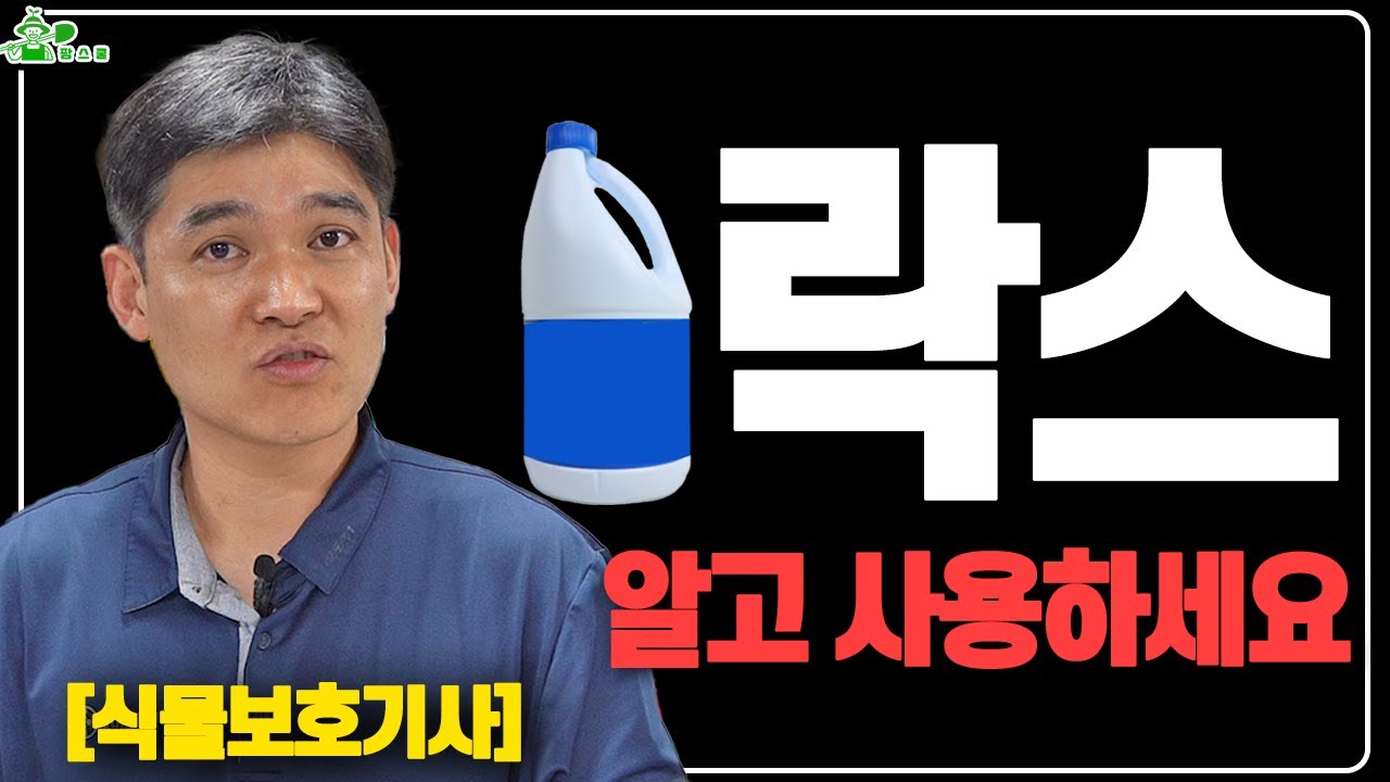 식물에 락스 쓰세요?? ㅣ 락스 제대로 알고나 사용하세요 ㅣ 식물보호기사가 알려주는 락스 사용법 - YouTube
