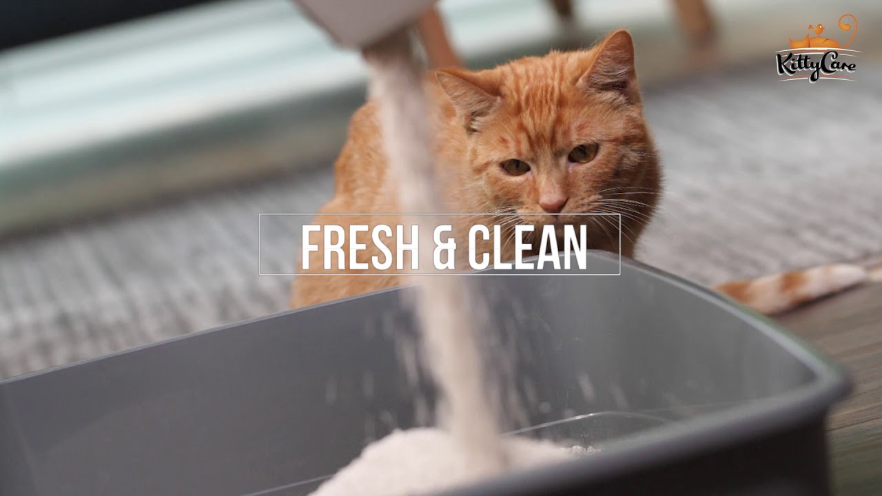 Kitty Care - cat litter 