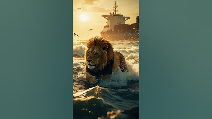 Dramatic Lion Ocean Rescue 🦁🌊 | Lion Escapes Cargo Ship & Is Saved by Heroes!