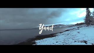 YAAD - TAHIR SAEED FT. NASEEBO LAL || Latest Punjabi song 2017
