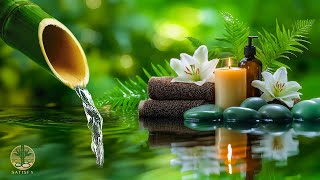 Download Lagu Soothing Relaxation \u0026 Deep Sleep Music🌿 Relaxing Music for Stress Relief, Meditation Music, Spa BGM MP3 Download Lagu Soothing Relaxation \u0026 Deep Sleep Music🌿 Relaxing Music for Stress Relief, Meditation Music, Spa BGM MP3