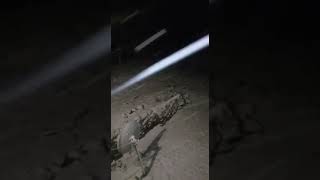 Siyəzən Rayonu Dağ Quşçu Kəndində Qar