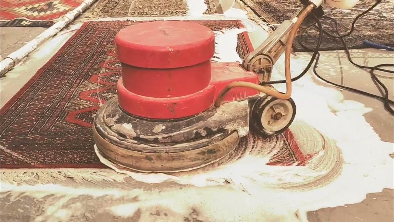 Professional Carpet Cleaning vs. DIY Which is Right for You? YouTube