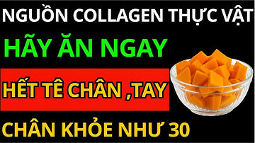 10 MÓN ĂN GIÀU COLLAGEN CHO NGƯỜI CAO TUỔI – HẾT TEO CƠ, TÊ TAY, YẾU CHÂN SAU 60!