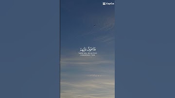 و ما نرسل المرسلين إلا مبشرين #الحمدلله_دائماً_وابداً #دعاء #القران_الكريم_راحه_نفسية #تلاوة_خاشعة