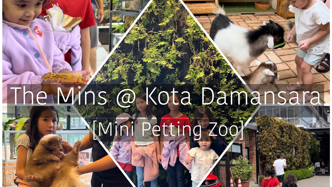 the-mins-at-kota-damansara-vlog-to-the-mini-petting-zoo-ayra-voice