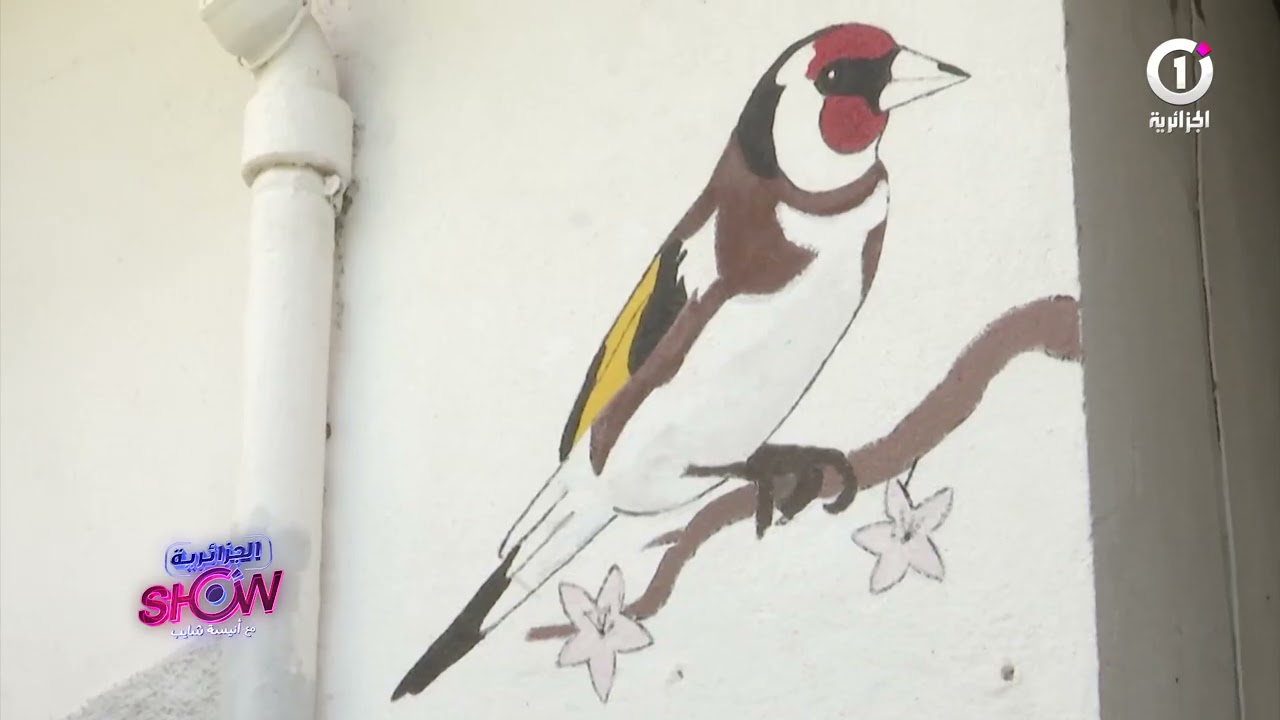 الجزائرية_شو دير دورا لأجمل قرية بجبال "بني يني"..صور رائعة شاهدوا 👏🇩🇿💐