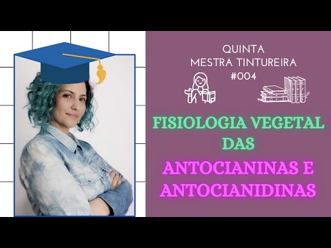 Vídeo: Diferença Entre Antocianina E Antocianidina