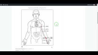 erekciós akupunktúrás pontok)