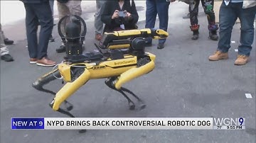RoboCop? No, RoboDog: Robotic dog rejoins New York police