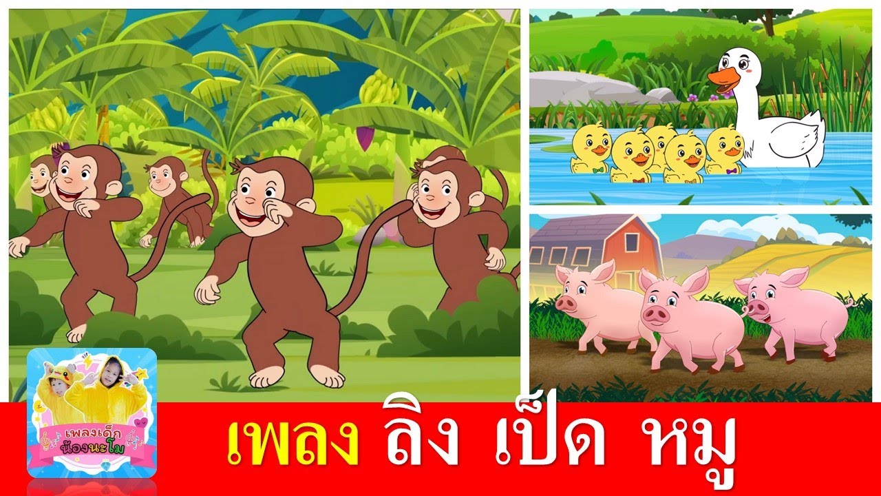 เพลงเด็ก ลิง เป็ด หมู | ลิงเจี๊ยกเจี๊ยก | เป็ดก้าบก้าบ | หมูอู๊ดอู๊ด