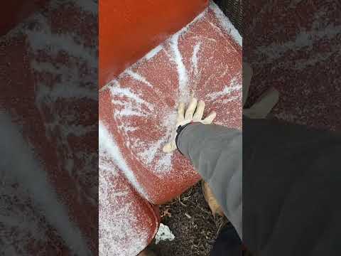 Cover Winter Sounds
