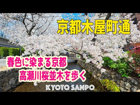 美しい日本 京都の四季 beautiful scenery of four seasons in Kyoto : 心癒される
