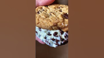 Yummy ice cream sandwich from Trader Joe