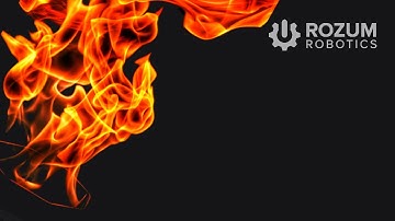 Robot PULSE holding the Flame of Peace