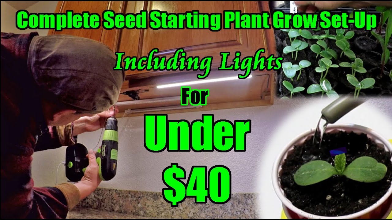 Complete Indoor Seed Starting / Plant Grow Set Up For Under 40 Using
