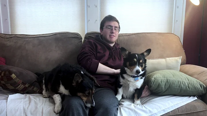 Baxter and Reginald T2T Commercial